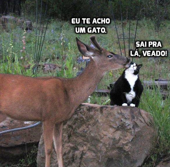Imagem engraçada Conversa Estranha no iPiadas