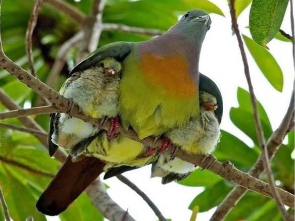 Imagem engraçada Mãe É Mãe e Ponto Final no iPiadas