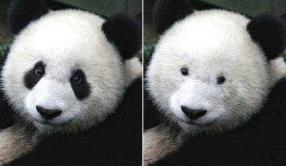 Imagem engraçada Quando Uma Pessoa Que Usa Óculos Aparece Sem Ele no iPiadas
