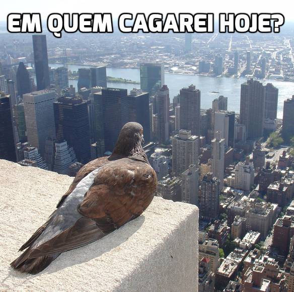 Imagem engraçada Pensamento do Dia no iPiadas