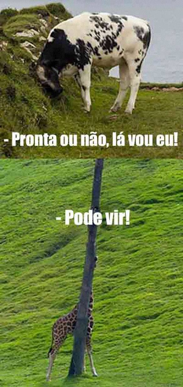 Imagem engraçada Bons Tempos... no iPiadas