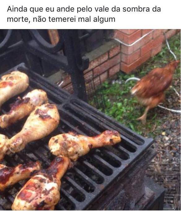 Imagem engraçada Terreno Perigoso no iPiadas