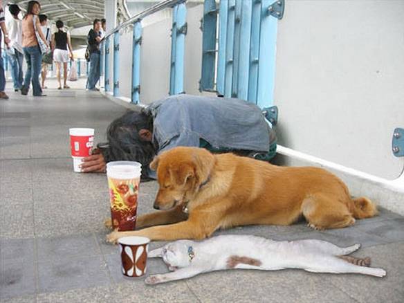 Imagem engraçada Tá Difícil pra Todo Mundo no iPiadas