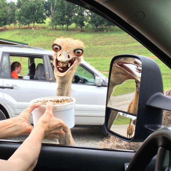 Imagem engraçada Quando Alguém Me Oferece Comida! no iPiadas