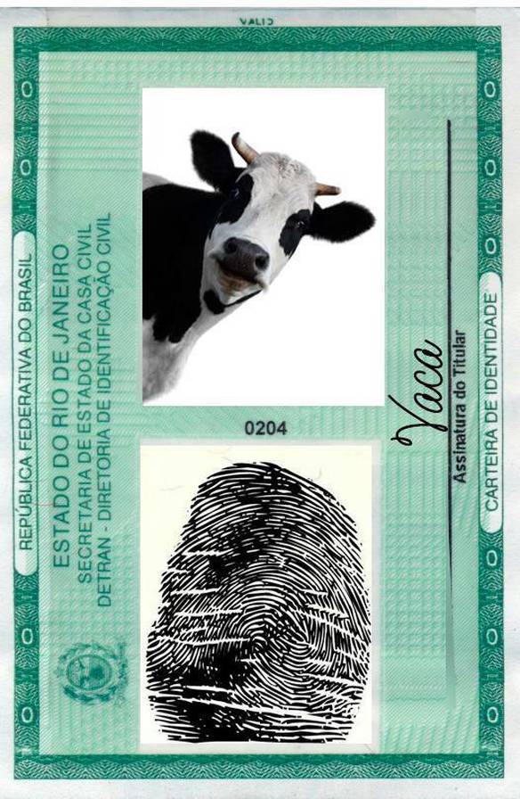 Imagem engraçada Encontrei sua Identidade. no iPiadas
