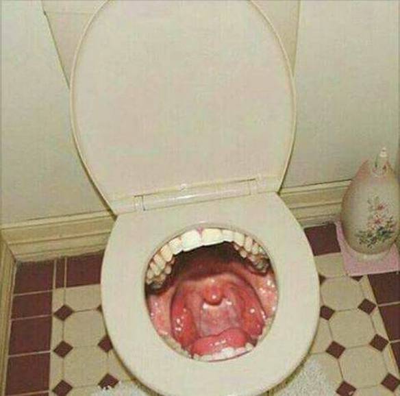 Imagem engraçada Uma Privada Diferente no iPiadas