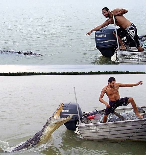 Imagem engraçada Não Fuja, Só Quero Uma Carona no iPiadas