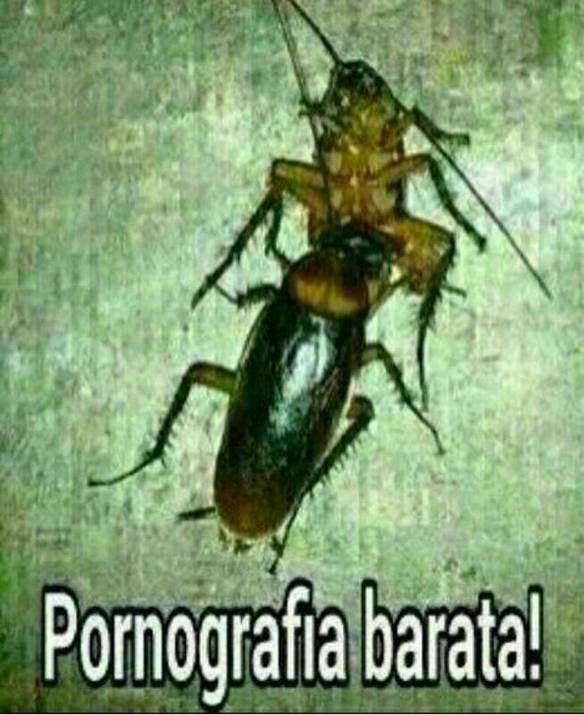 Imagem engraçada Tem em Todo Lugar no iPiadas