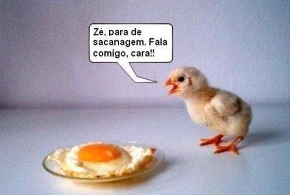 Imagem engraçada Zé, Fala Comigo no iPiadas