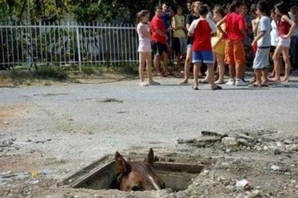 Imagem engraçada Ele Sempre te Observa no iPiadas