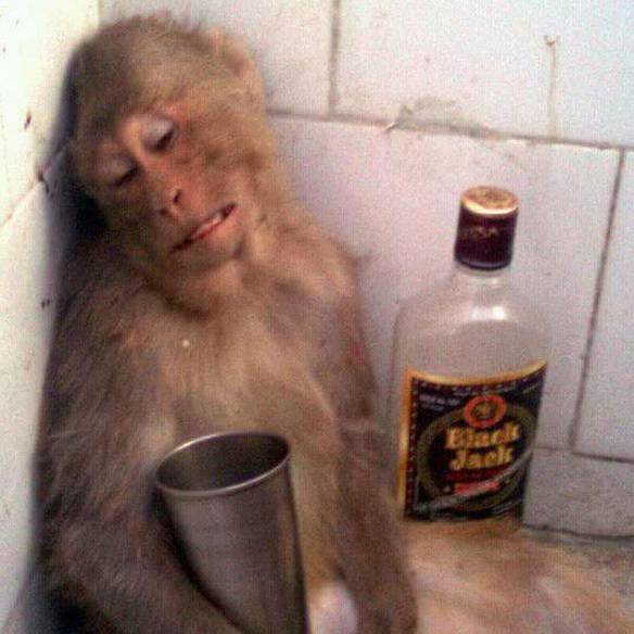 Imagem engraçada Ando Devagar, Porque Voltei da Festa... no iPiadas