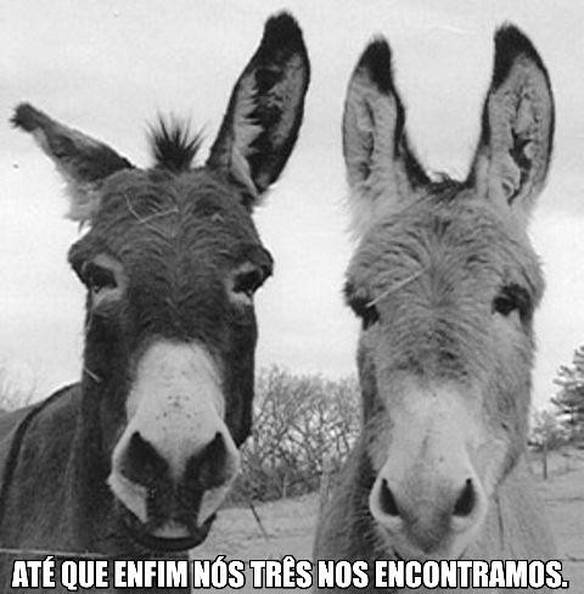 Imagem engraçada Até Que Enfim... no iPiadas