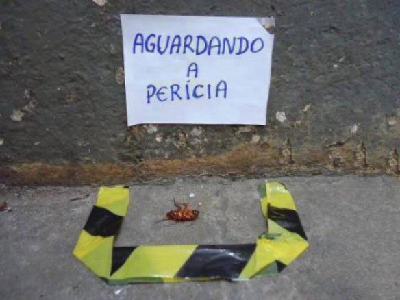 Imagem engraçada Aguardando a Perícia no iPiadas