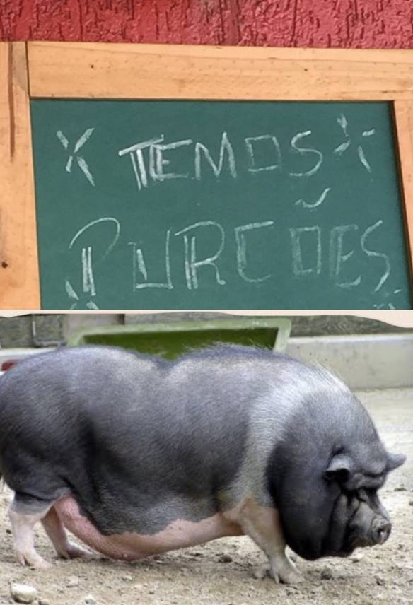 Imagem engraçada Será Que É Isso? no iPiadas