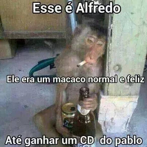 Imagem engraçada Eita Sofrência no iPiadas