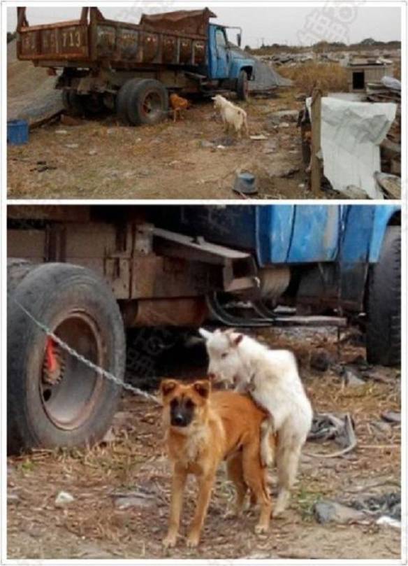 Imagem engraçada Pode Estar Ruim, Mas Sempre Pode Piorar no iPiadas