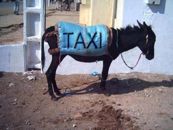 Imagem engraçada Vai de Táxi? no iPiadas