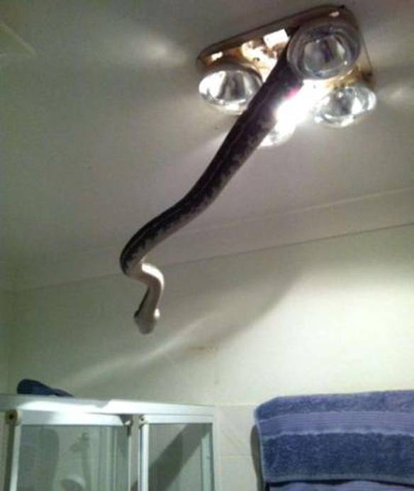 Imagem engraçada Você Relaxando no Banho, Então... no iPiadas