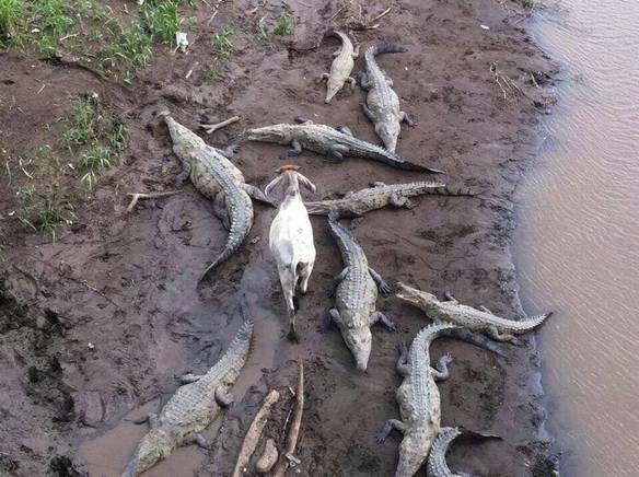 Imagem engraçada Medo Não Existe no Meu Vocabulário no iPiadas