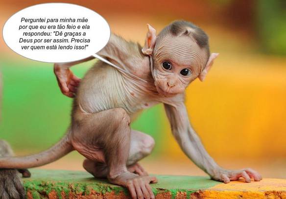 Imagem engraçada Agradeça, Meu Filho no iPiadas
