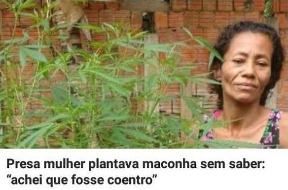 Imagem engraçada Achei Que Fosse Coentro... no iPiadas