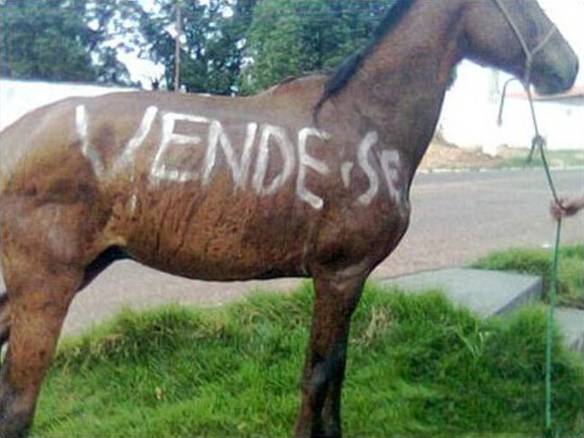 Imagem engraçada Burro Vendendo Um Cavalo no iPiadas