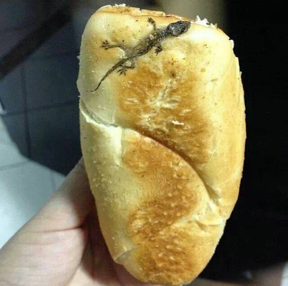 Imagem engraçada Só Faltou o Suco de Lagartixa no iPiadas
