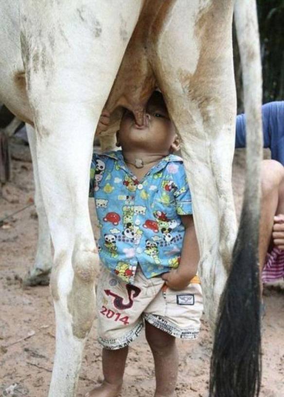 Imagem engraçada Mamadeira É Para Os Fracos no iPiadas