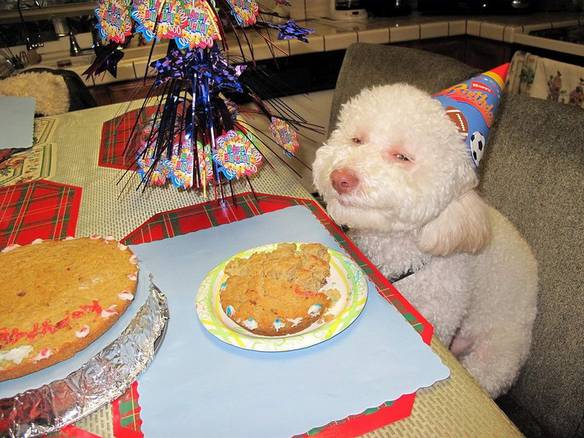 Imagem engraçada Gostei do Aniversário no iPiadas