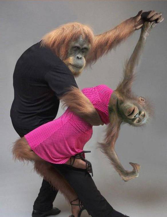 Imagem engraçada Dança Graciosa no iPiadas