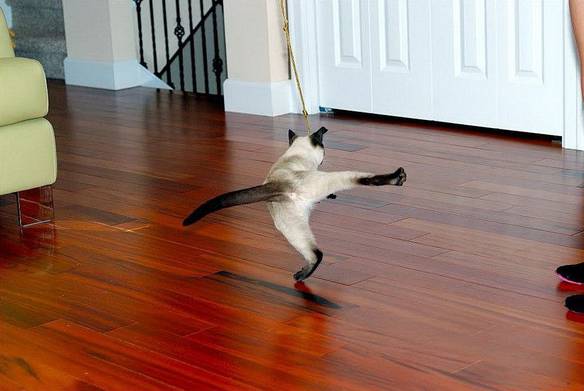 Imagem engraçada Hora do Breakdance no iPiadas