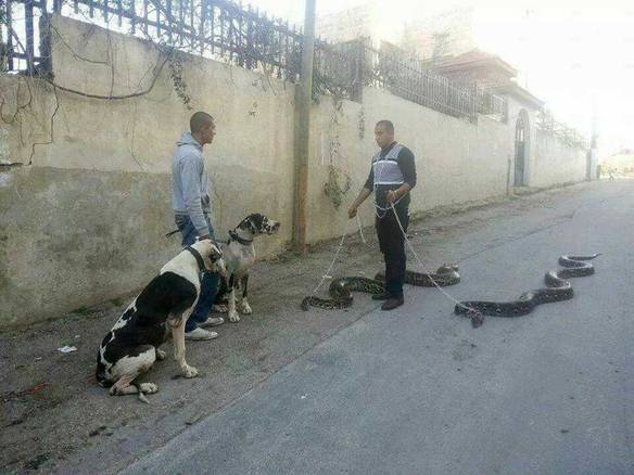 Imagem engraçada Os Meus São Melhores no iPiadas