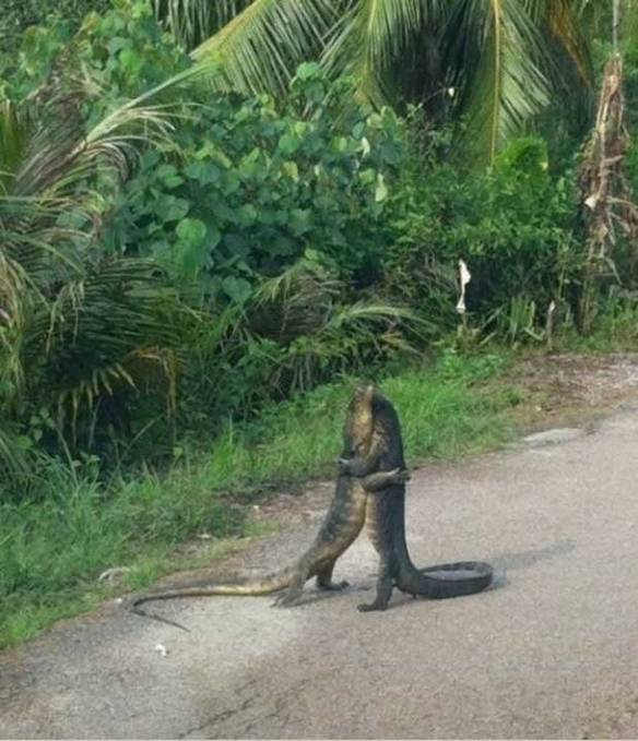 Imagem engraçada Vem Cá, Meu Amigão no iPiadas