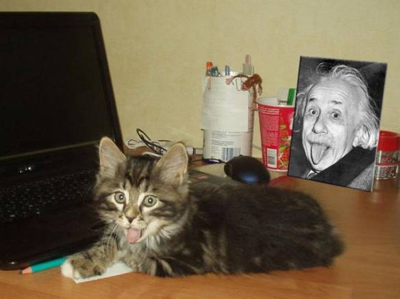 Imagem engraçada Gato do Einstein no iPiadas