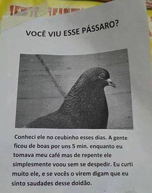 Imagem engraçada Viu Esse Pássaro? no iPiadas