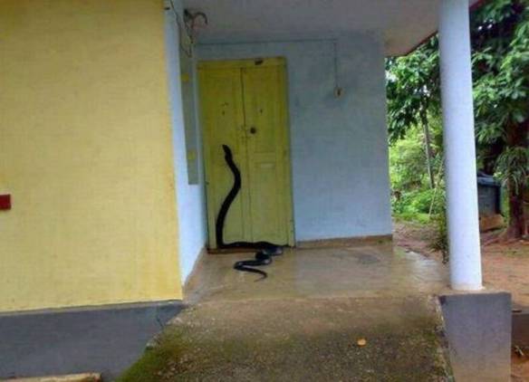 Imagem engraçada Tem Alguém em Casa? no iPiadas