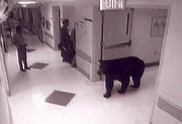 Imagem engraçada Hospital Seguro no iPiadas