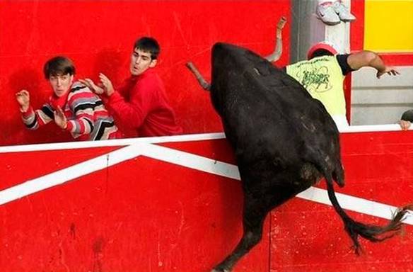 Imagem engraçada Espectador Chifrado no iPiadas