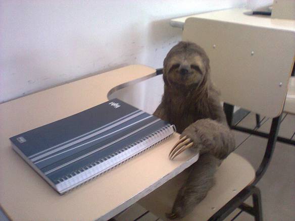 Imagem engraçada Preguiça na Escola no iPiadas