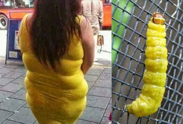 Imagem engraçada Mamãe, É Você? no iPiadas