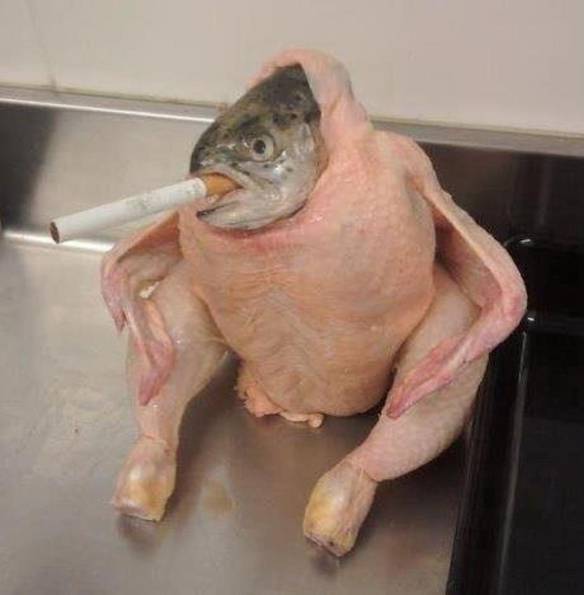 Imagem engraçada Peixe-Frango Fumando