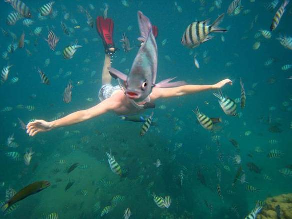 Imagem engraçada Cara de Peixe no iPiadas