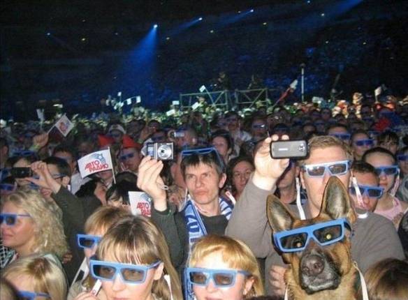 Imagem engraçada Cachorro no Show no iPiadas