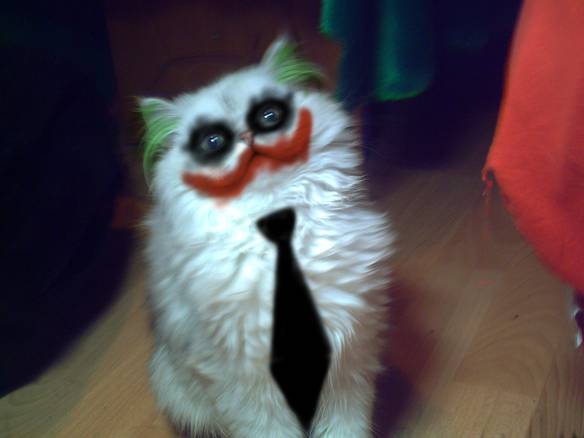 Imagem engraçada Gato Coringa no iPiadas