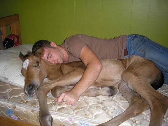 Imagem engraçada Amor Inexplicável no iPiadas