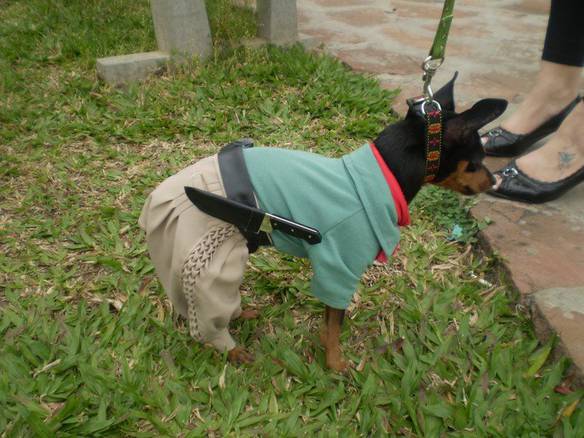 Imagem engraçada Cachorro Gaúcho no iPiadas