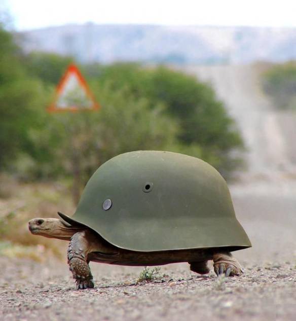 Imagem engraçada Casco Protegido no iPiadas