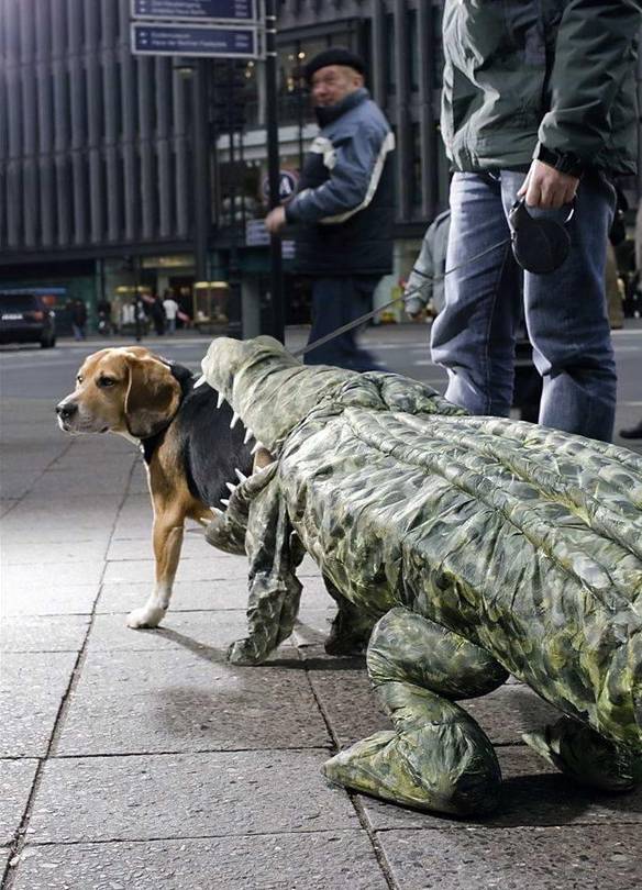 Imagem engraçada Fantasia de Crocodilo no iPiadas