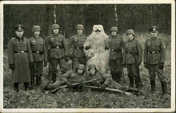 Imagem engraçada Urso Polar Nazista no iPiadas