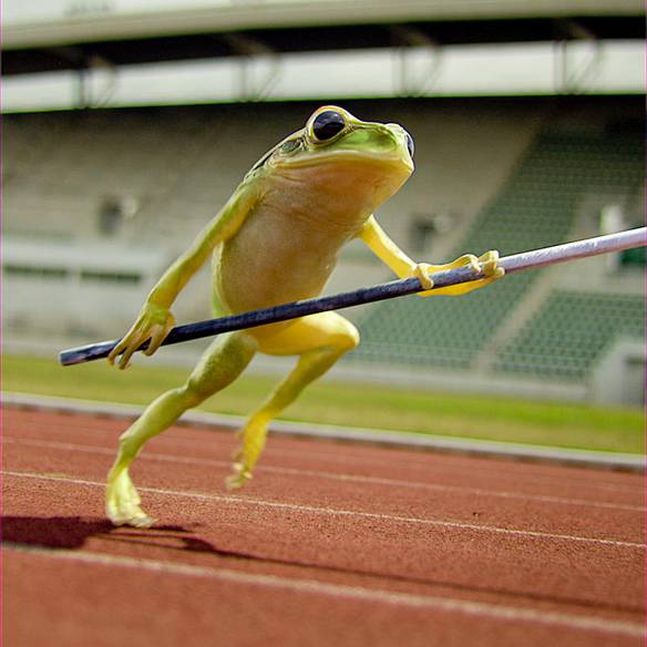 Imagem engraçada Campeão de Salto com Vara no iPiadas